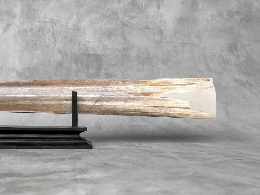 Carved Swordfish Marine carving O1/017