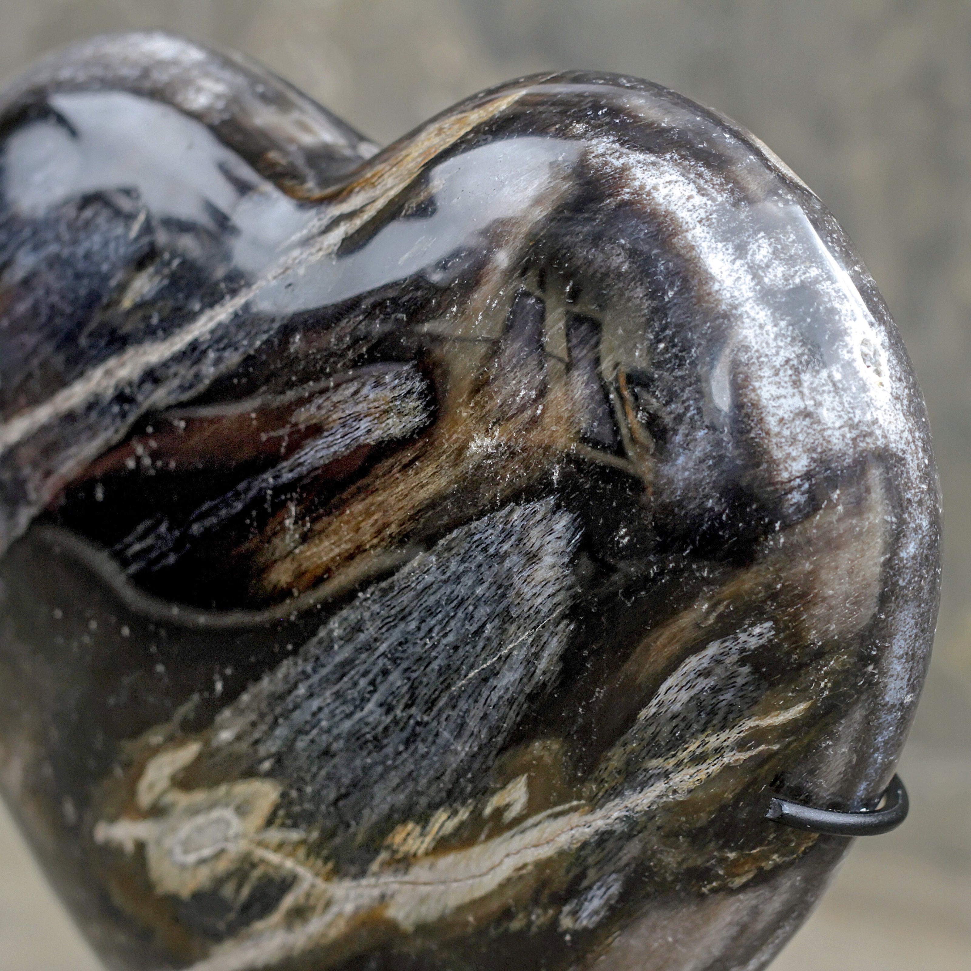 Wonderful Petrified Wood Heart-Shaped on a Custom Stand PWH/012