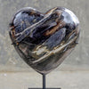 Wonderful Petrified Wood Heart-Shaped on a Custom Stand PWH/012