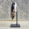 Wonderful Petrified Wood Heart-Shaped on a Custom Stand PWH/013