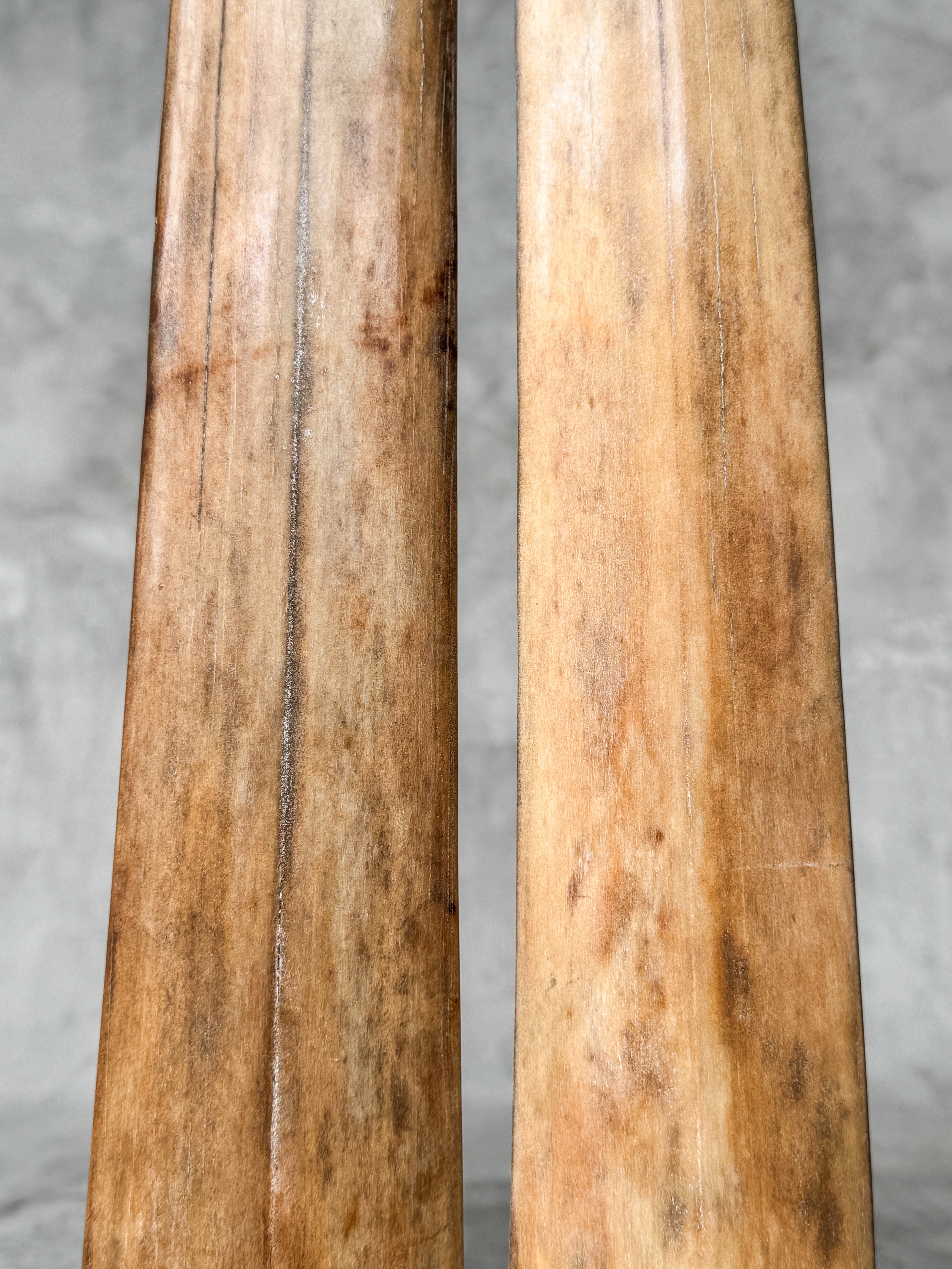 Pair of Natural Tusks on Stand – Rustic Tribal Decor, Bone Sculpture, African Style Accent - Tusk,A/042