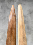 Pair of Natural Tusks on Stand – Rustic Tribal Decor, Bone Sculpture, African Style Accent - Tusk,A/042