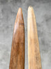 Pair of Natural Tusks on Stand – Rustic Tribal Decor, Bone Sculpture, African Style Accent - Tusk,A/042