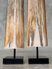 Pair of Natural Tusks on Stand – Rustic Tribal Decor, Bone Sculpture, African Style Accent - Tusk,A/042