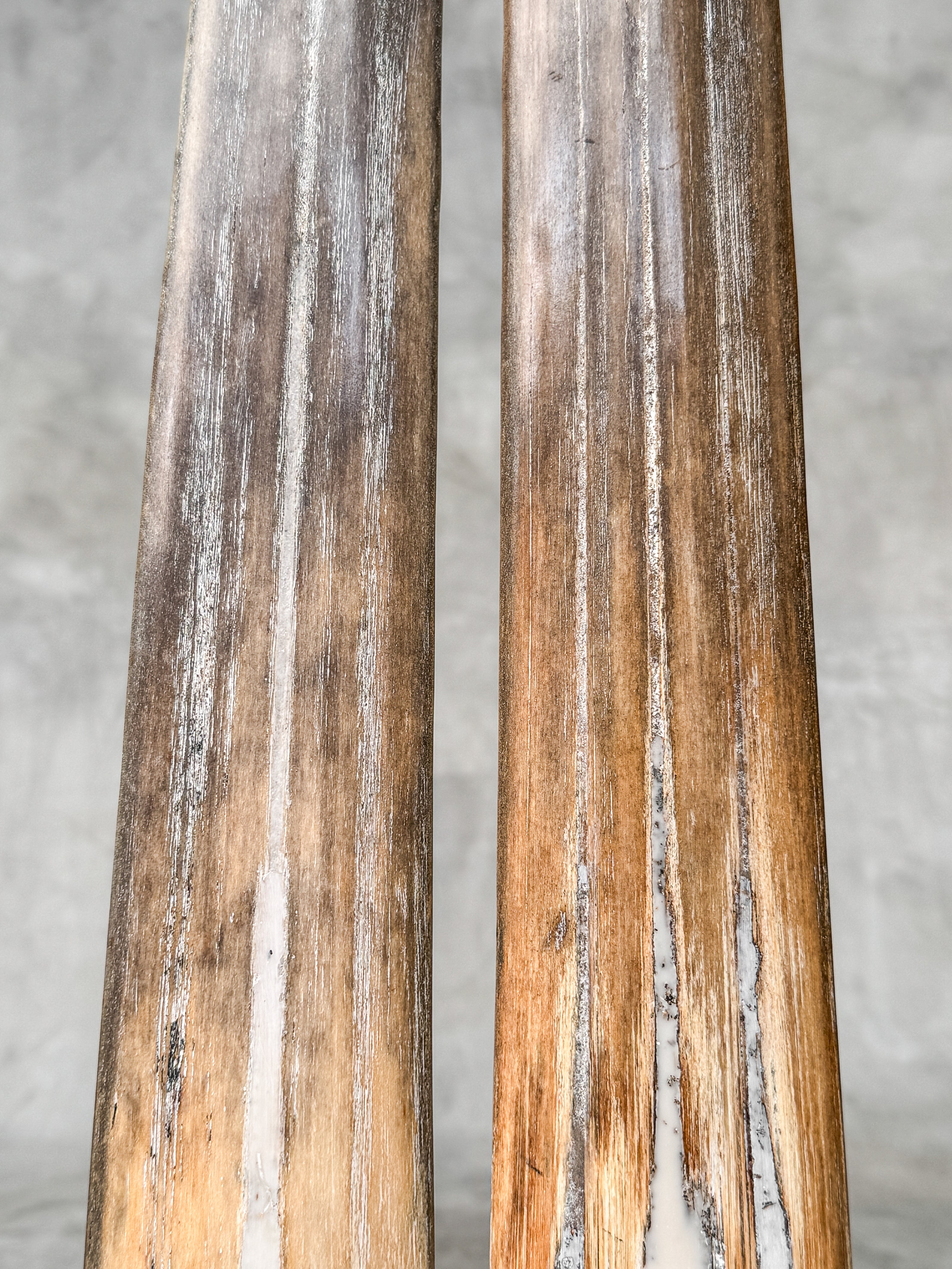 Pair of Natural Tusks on Stand – Rustic Tribal Decor, Bone Sculpture, African Style Accent - Tusk,A/042