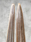 Pair of Natural Tusks on Stand – Rustic Tribal Decor, Bone Sculpture, African Style Accent - Tusk,A/042