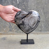 Wonderful Petrified Wood Heart-Shaped on a Custom Stand PWH/025