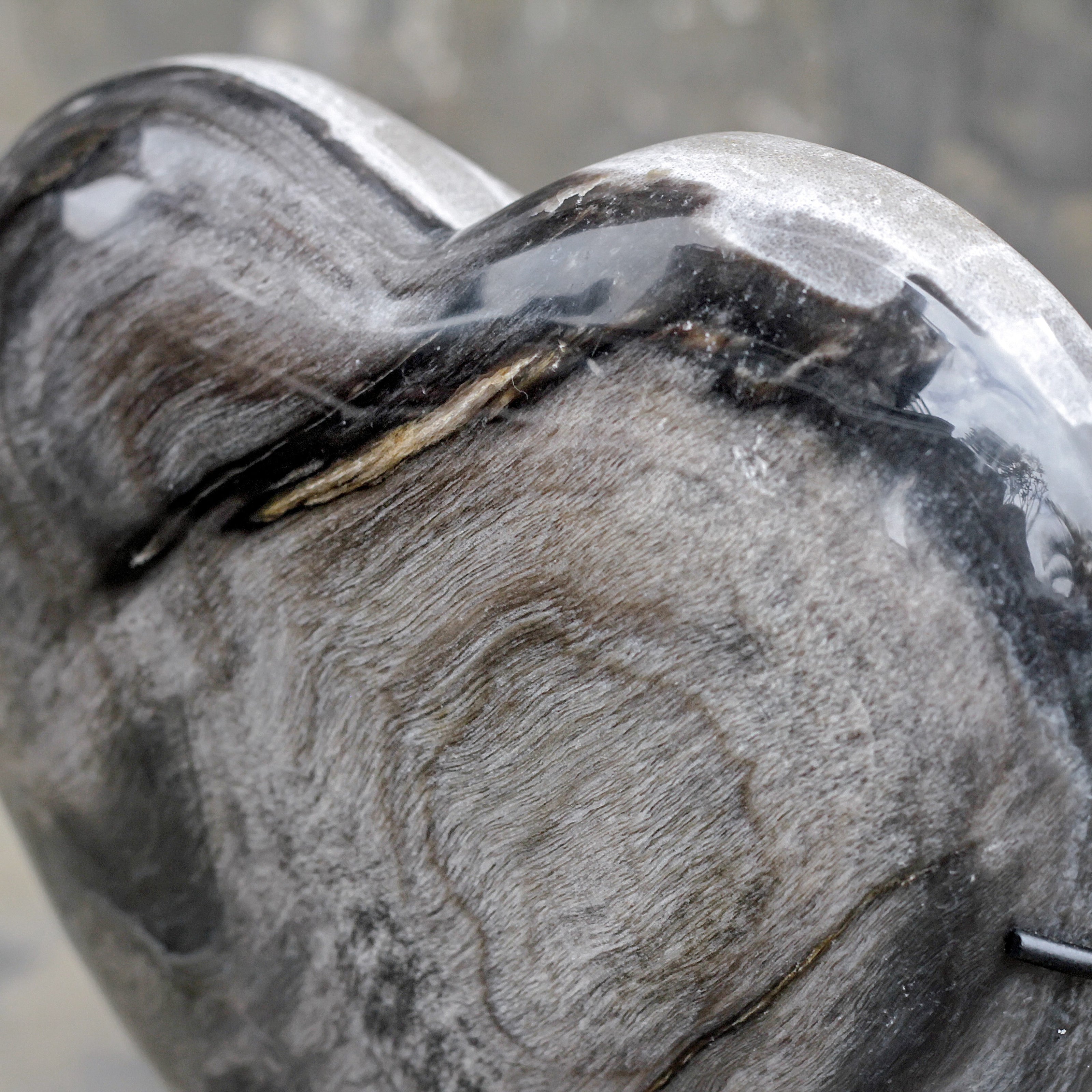 Wonderful Petrified Wood Heart-Shaped on a Custom Stand PWH/025