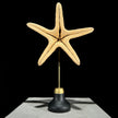 Starfish on a stand -M2/328