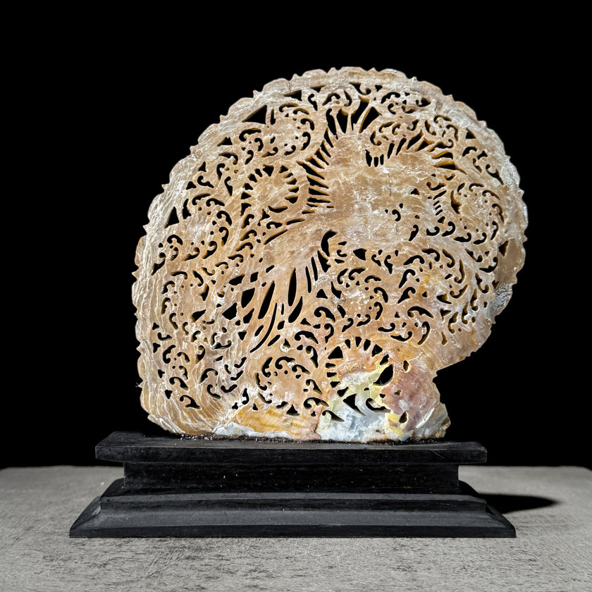 Carved Mother of Pearl Shells Phoniex Carving ToS,A/027