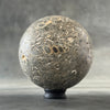 Sphere Stone Turtitella-Y2/209