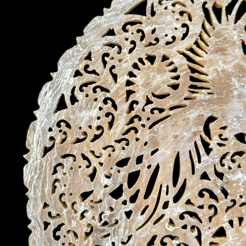 Carved Mother of Pearl Shells Phoniex Carving ToS,A/027