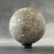 Sphere Stone Turtitella-Y2/209