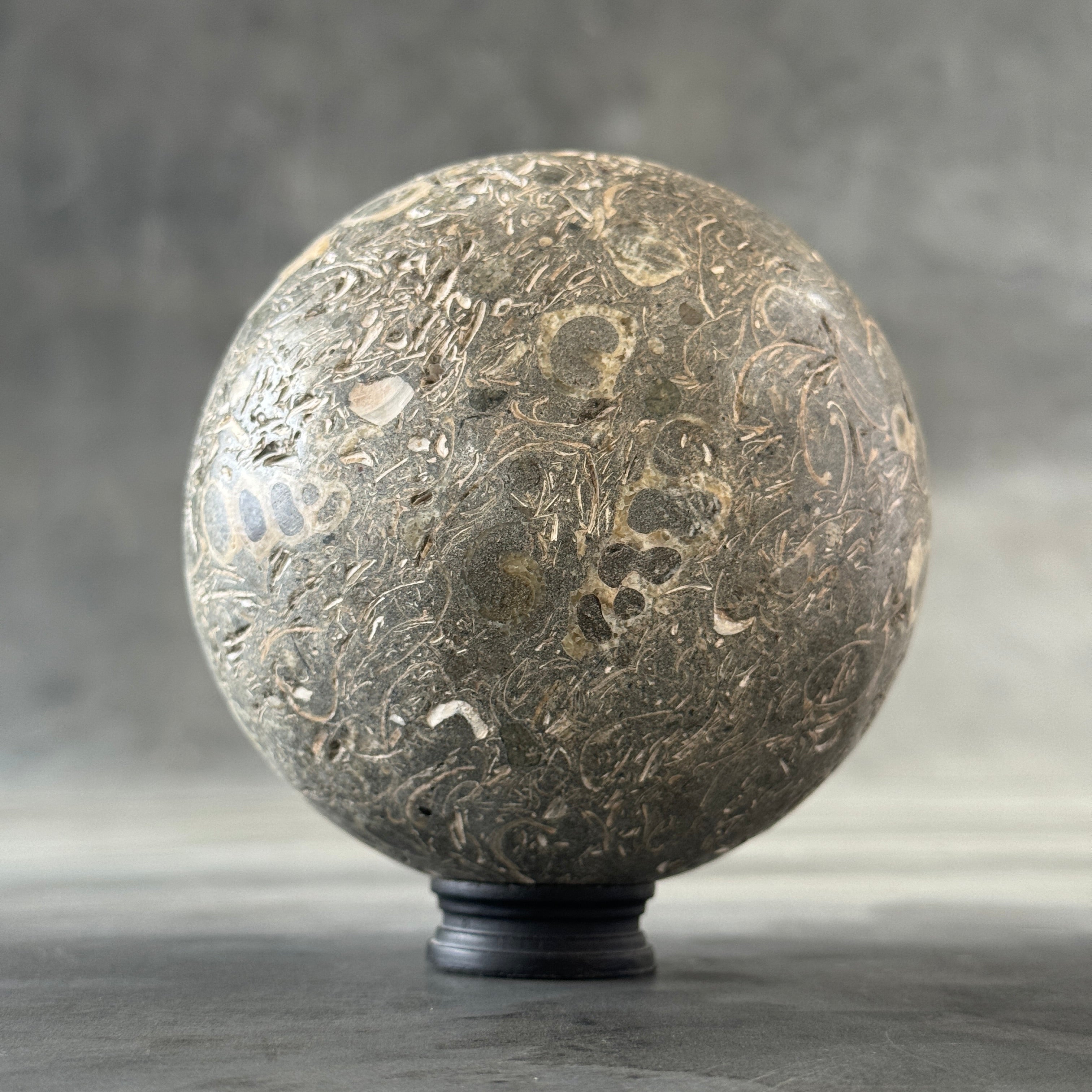 Sphere Stone Turtitella-Y2/209