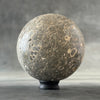 Sphere Stone Turtitella-Y2/209