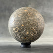 Sphere Stone Turtitella-Y2/209