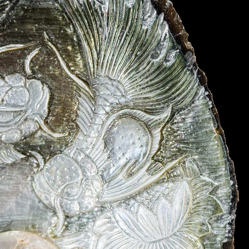 Carved Mother of Pearl Shells Koi Carving ToS,A/029