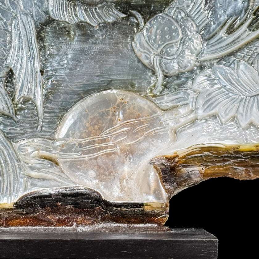 Carved Mother of Pearl Shells Koi Carving ToS,A/029