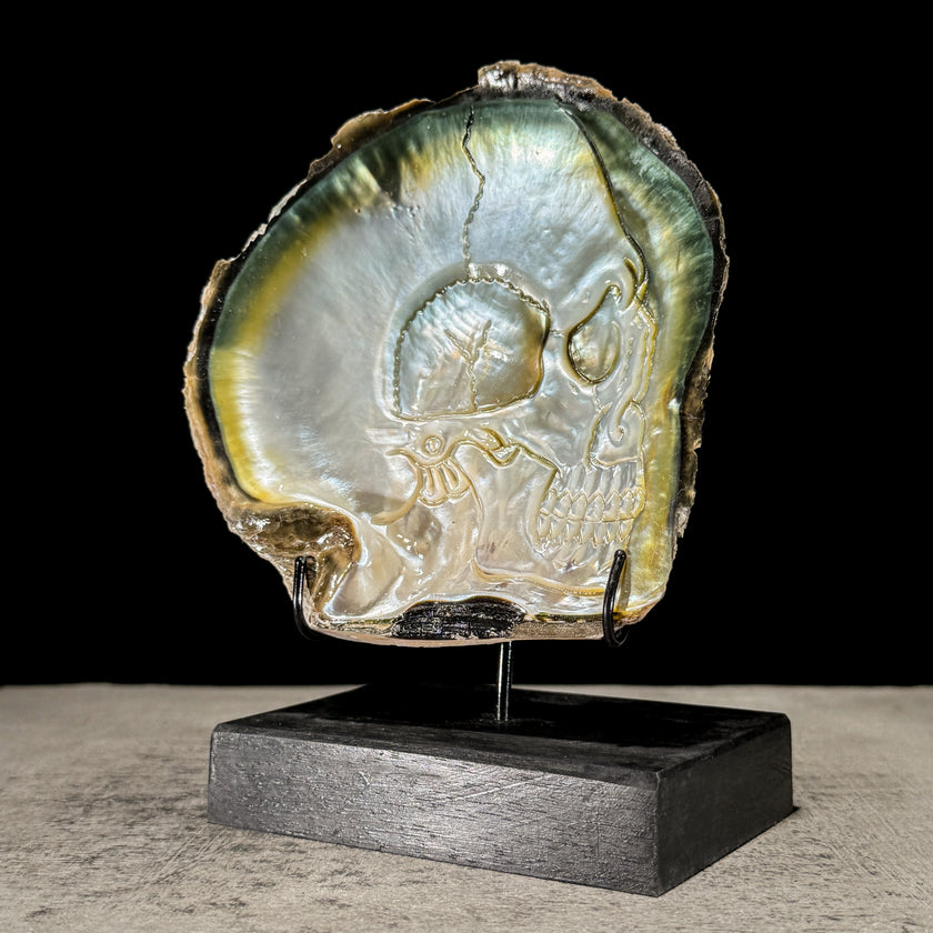 Carved Mother of Pearl Shells Human skull Carving ToS,A/030