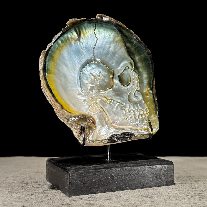 Carved Mother of Pearl Shells Human skull Carving ToS,A/030