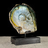 Carved Mother of Pearl Shells Human skull Carving ToS,A/030