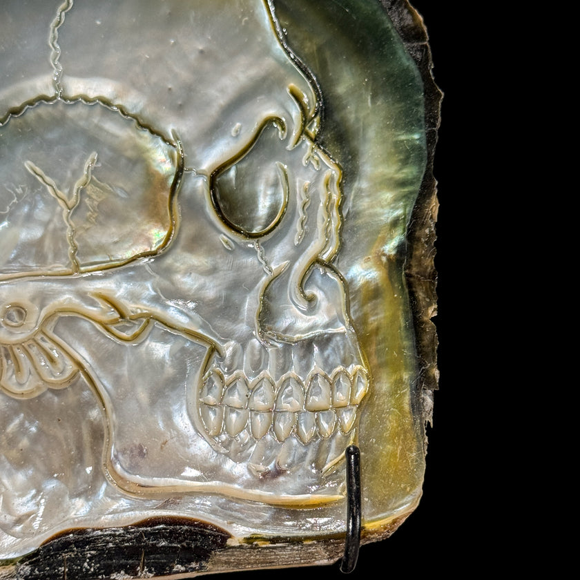 Carved Mother of Pearl Shells Human skull Carving ToS,A/030