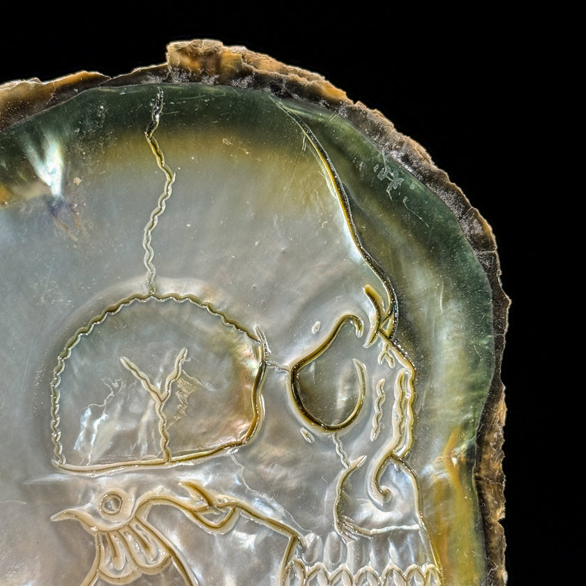 Carved Mother of Pearl Shells Human skull Carving ToS,A/030