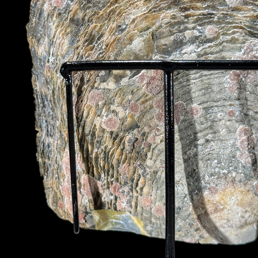 Carved Mother of Pearl Shells Human skull Carving ToS,A/030