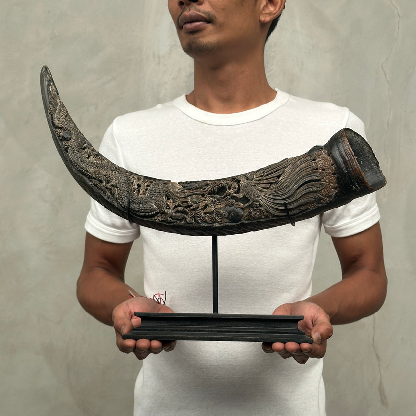 Buffalo Horn Dragon Phoniex - CoC,A/001