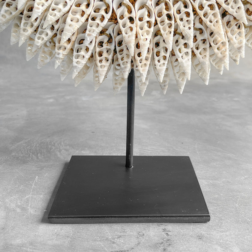 Shell Necklace SN 7 carving 9X/095