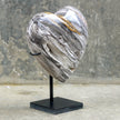 Wonderful Petrified Wood Heart-Shaped on a Custom Stand PWH/019