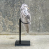 Wonderful Petrified Wood Heart-Shaped on a Custom Stand PWH/019