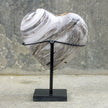 Wonderful Petrified Wood Heart-Shaped on a Custom Stand PWH/019