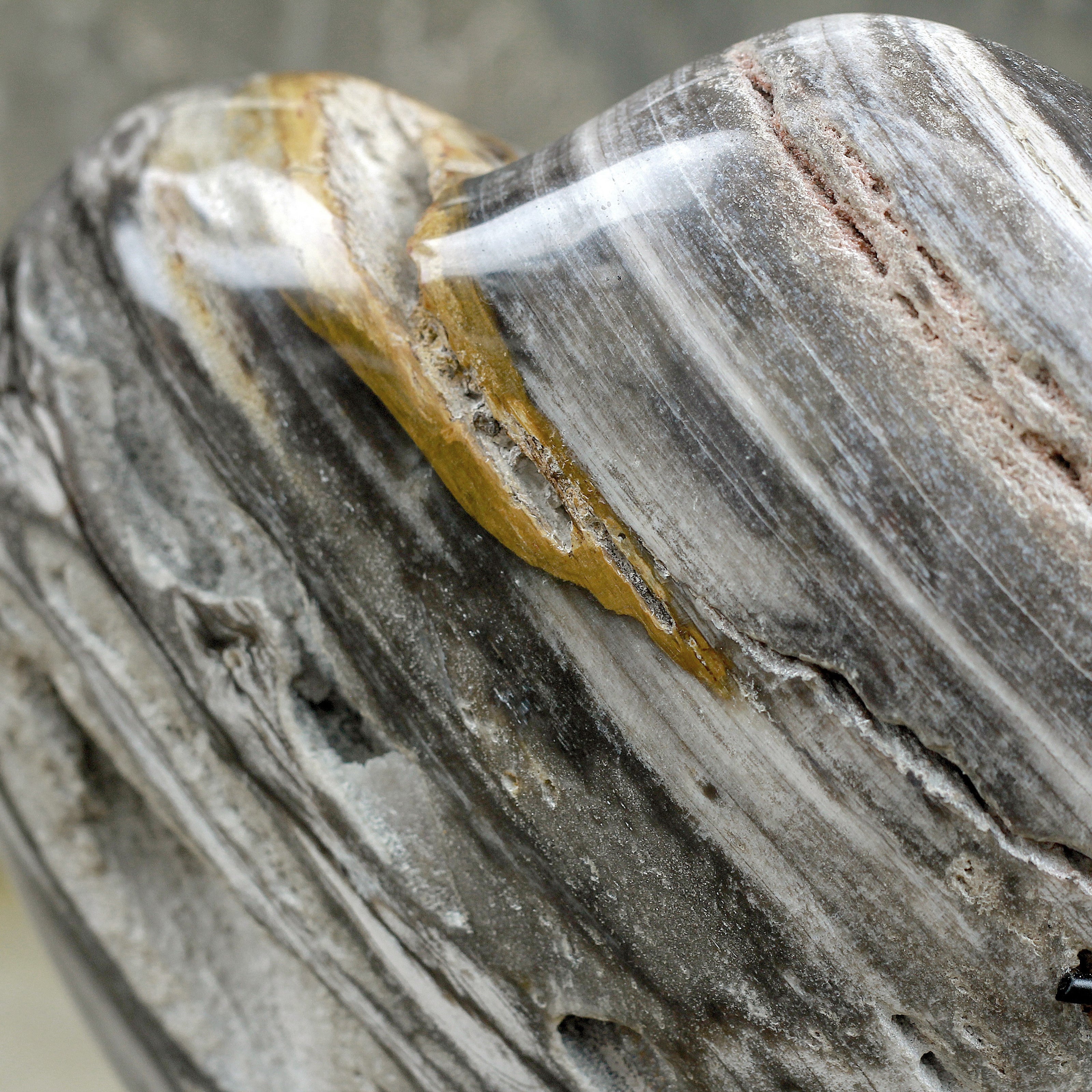 Wonderful Petrified Wood Heart-Shaped on a Custom Stand PWH/019