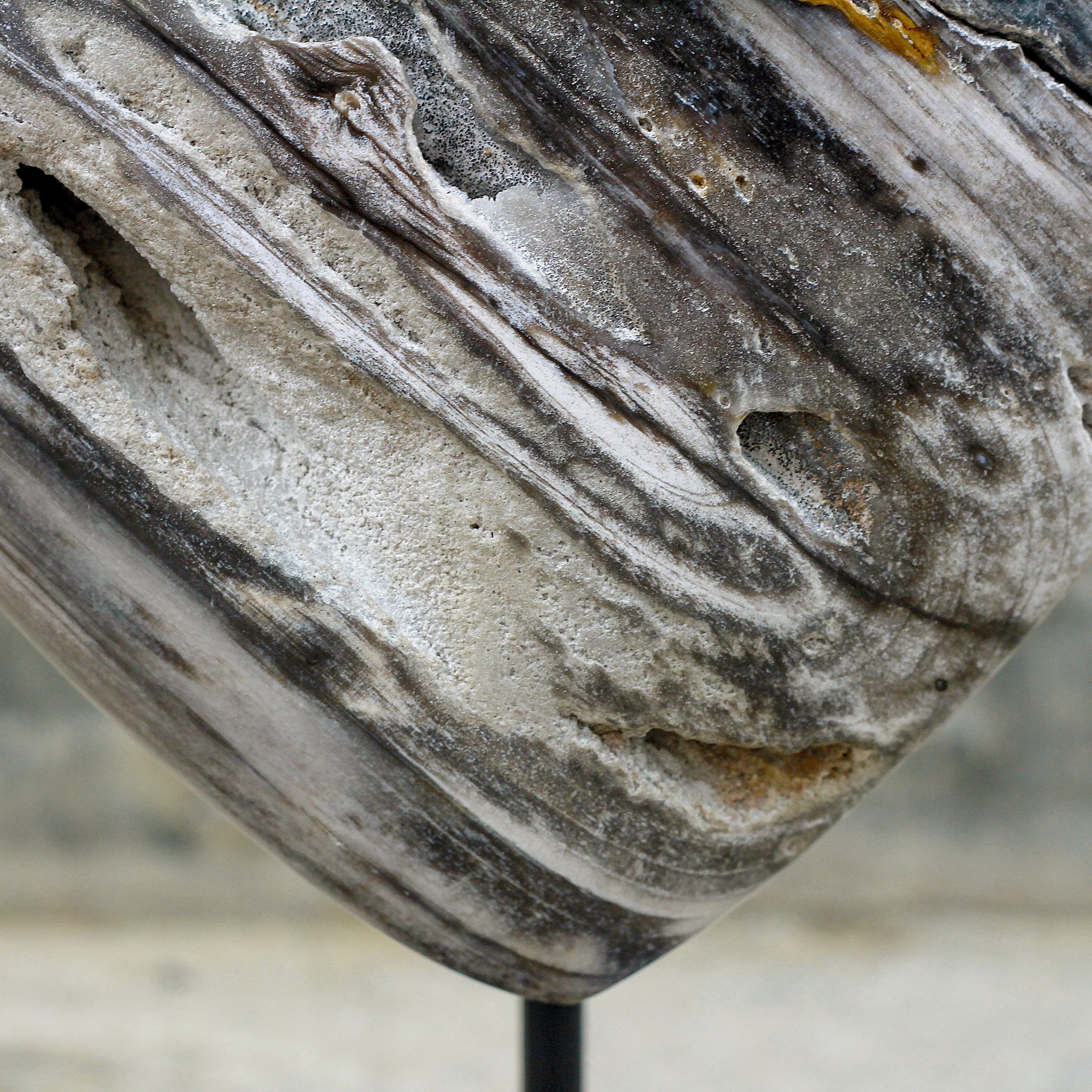 Wonderful Petrified Wood Heart-Shaped on a Custom Stand PWH/019