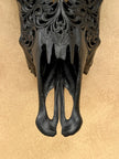 Black Carved Buffalo Skulls with Floral motif | Skull,A/172