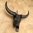 Black Carved Buffalo Skulls with Floral motif | Skull,A/172