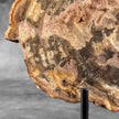 Petrified Wood on Stand – Natural Tree Fossil with Subtle Rings | Organic Earth Decor for Shelves or Consoles - PetW,A/015