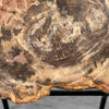 Petrified Wood on Stand – Natural Tree Fossil with Subtle Rings | Organic Earth Decor for Shelves or Consoles - PetW,A/015