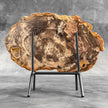 Petrified Wood on Stand – Natural Tree Fossil with Subtle Rings | Organic Earth Decor for Shelves or Consoles - PetW,A/015