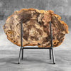 Petrified Wood on Stand – Natural Tree Fossil with Subtle Rings | Organic Earth Decor for Shelves or Consoles - PetW,A/015