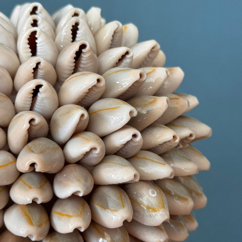 Shell ball set 3 on stand set 5 - ToS,A/024