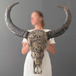 Real Carved Buffalo Skull 22/EX/364