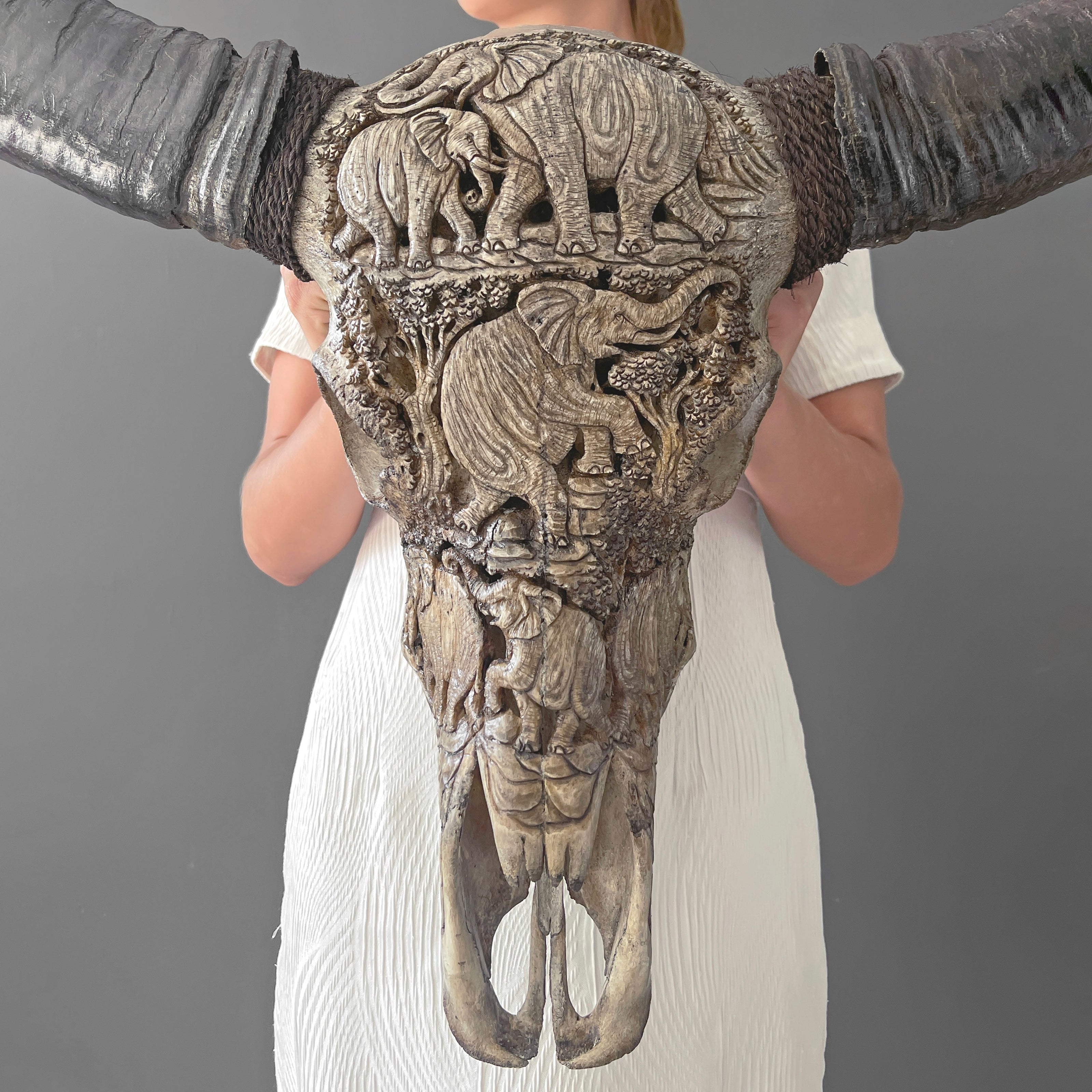 Real Carved Buffalo Skull 22/EX/364