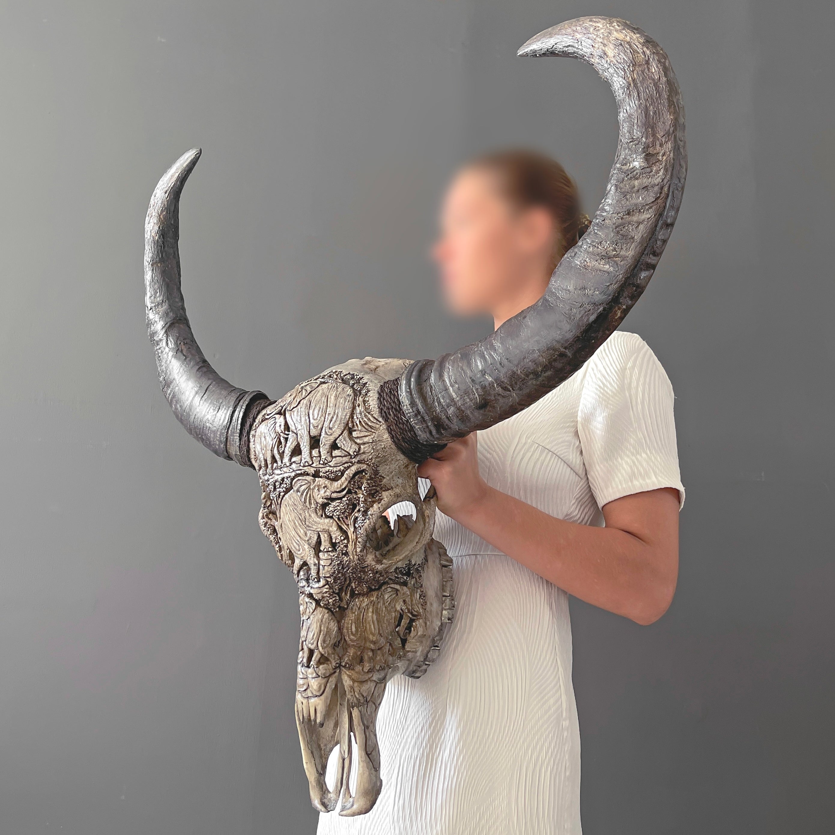 Real Carved Buffalo Skull 22/EX/364