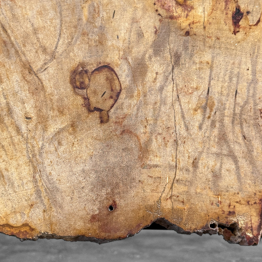 Stunning Petrified Wood Slice on Stand | PetW,A/012