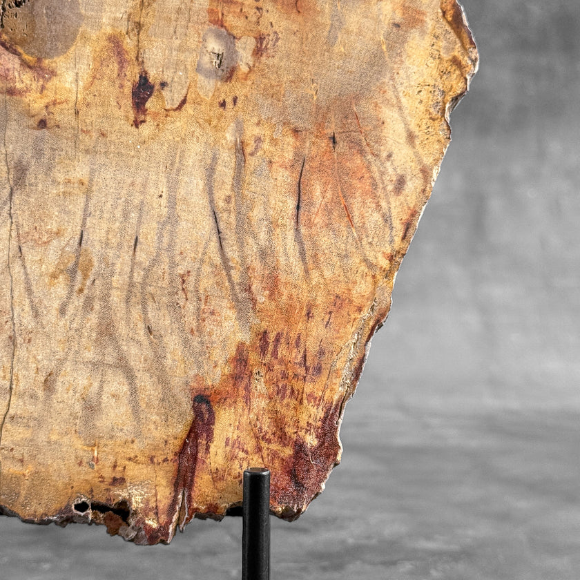 Stunning Petrified Wood Slice on Stand | PetW,A/012