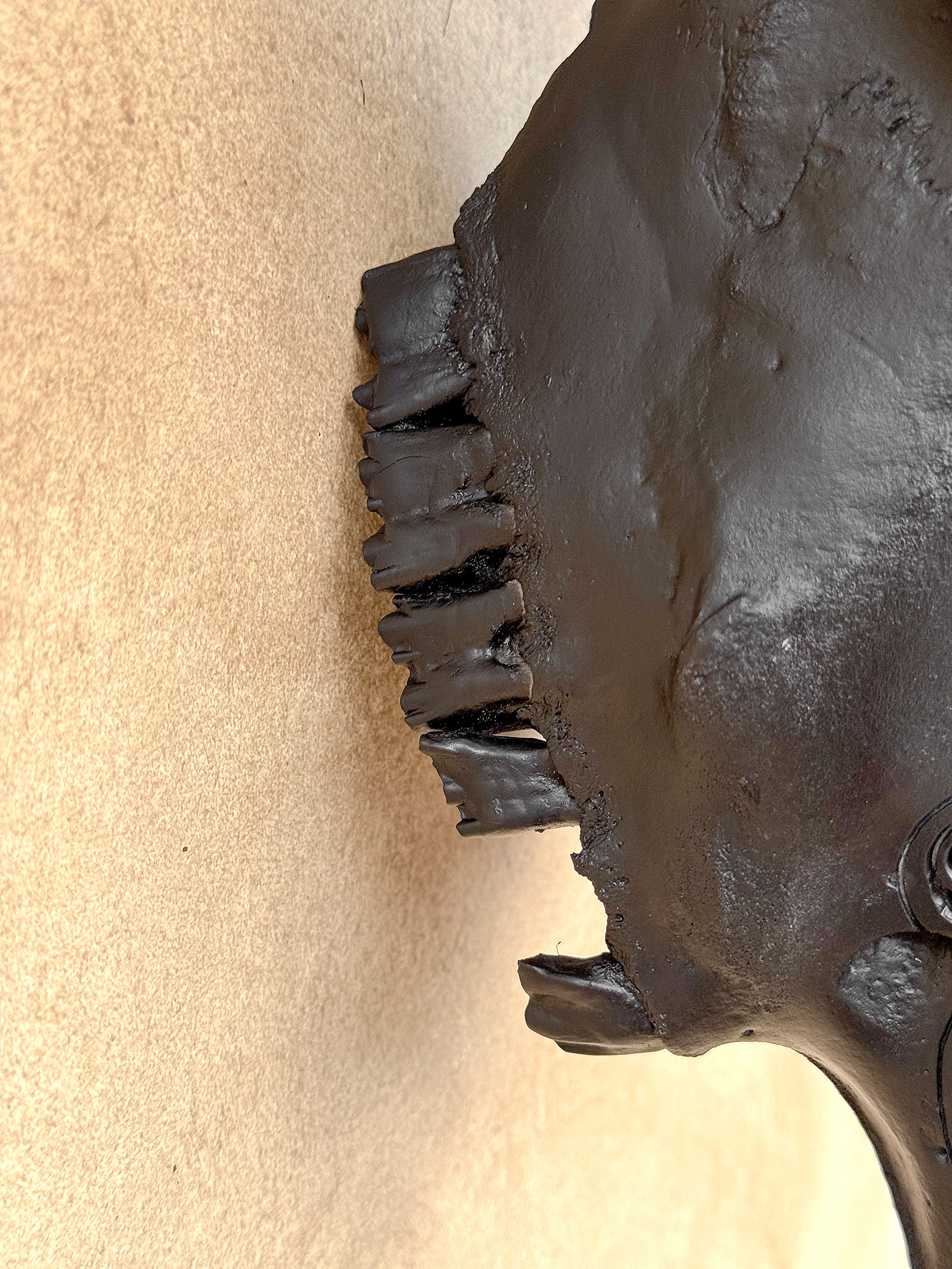 Bull Skull Carved Fern - Skull,A/146