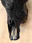 Bull Skull Carved Fern - Skull,A/146