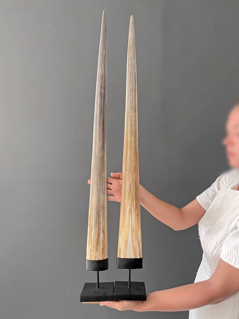 A pair of Tusks on Stand  22/EX/373